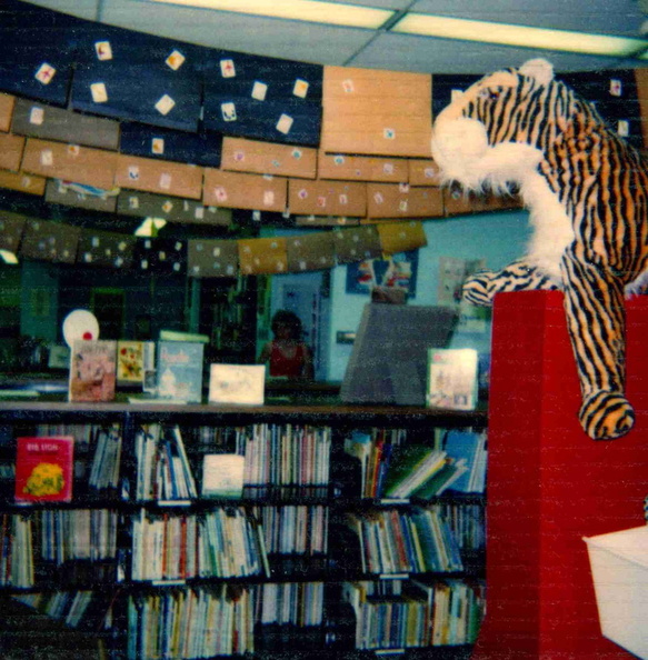 1989 SRP The Great Book Hunt knapsack ceiling (2).jpg