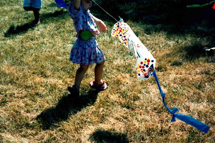 1995 SRP Camp Read-a-Lot breadbag kites (2)