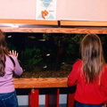 2003 Fish Tank