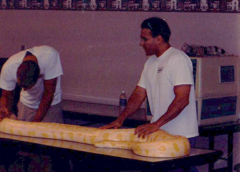 2006 SRP Reptile Day, There\'s a large yellow snake on our table!.jpg