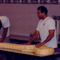 2006 SRP Reptile Day, There's a large yellow snake on our table!